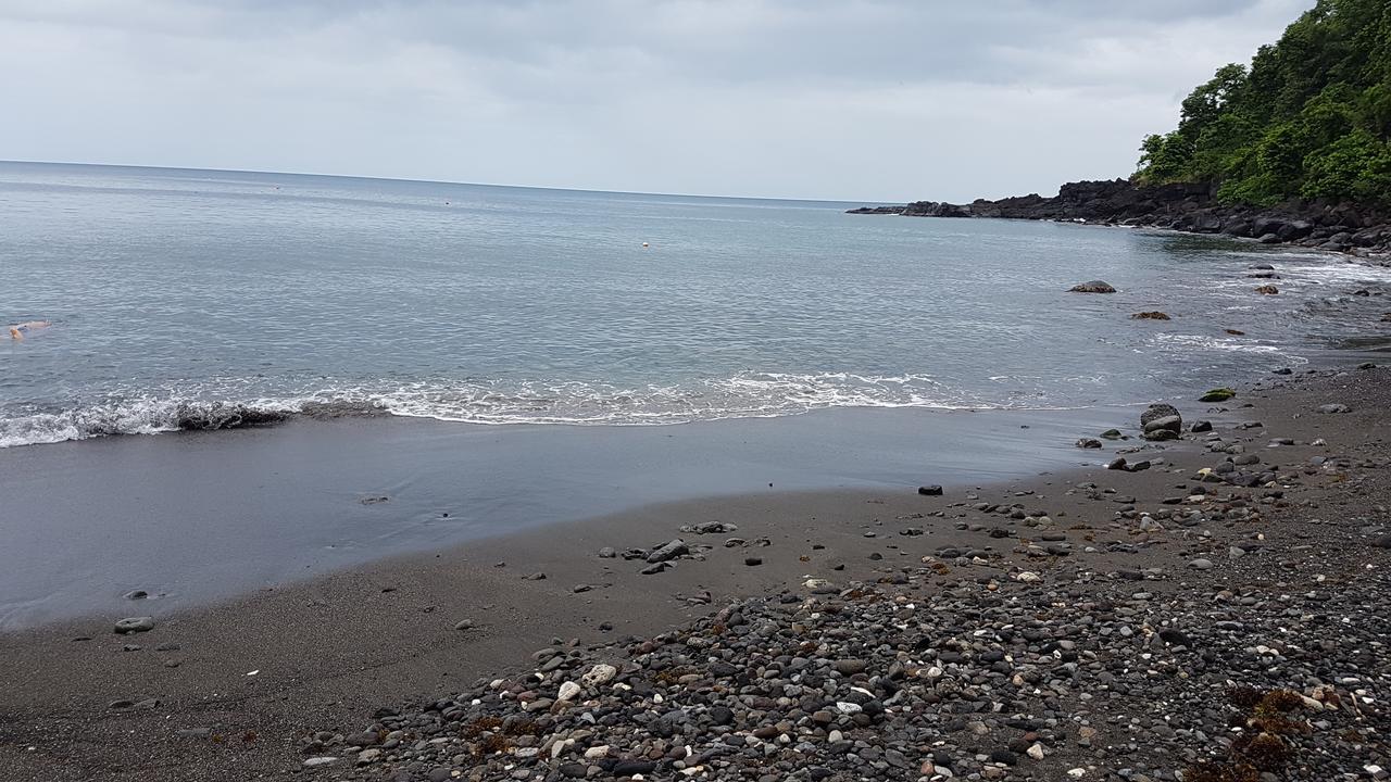 Haut De Villa Corossolier Vieux-Fort Exteriör bild